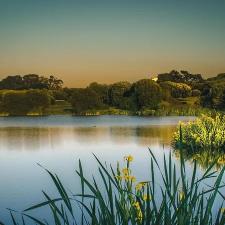 Lovely @ Matosinhos Beach Lejlighed