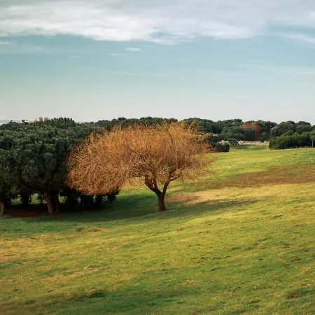 Lovely @ Matosinhos Beach Lejlighed *