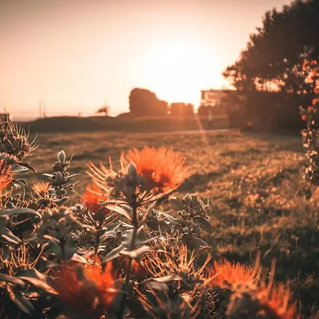 Lovely @ Matosinhos Beach Matosinhos (Porto)