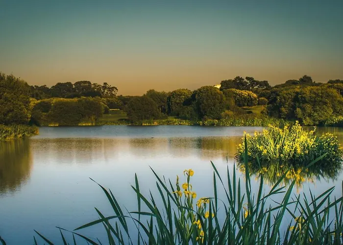 Lovely @ Matosinhos Beach Lejlighed