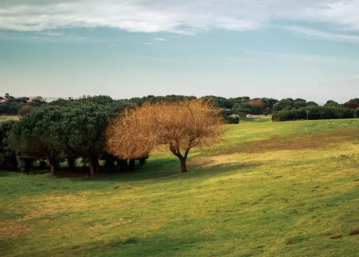 Lovely @ Matosinhos Beach Apartamento *