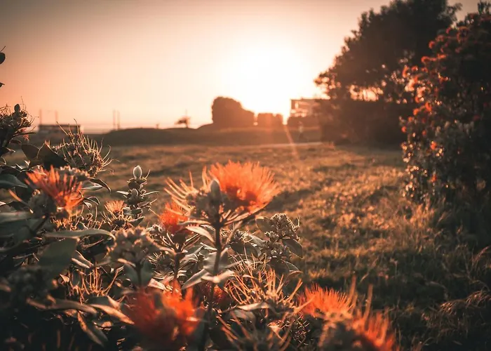 Lovely @ Matosinhos Beach Matosinhos (Porto)